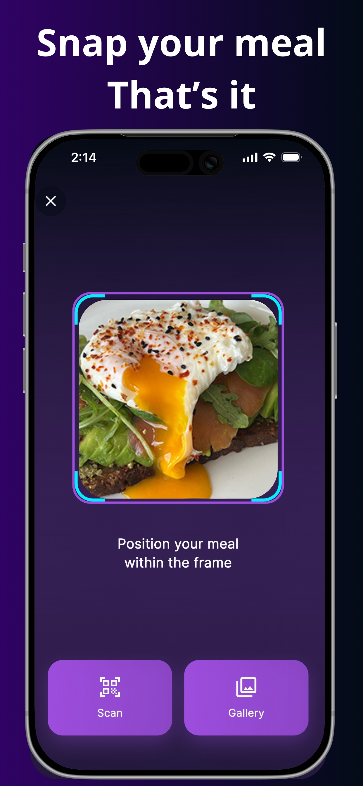 Vyka AI meal scanner — frame your plate and let AI identify foods and macros